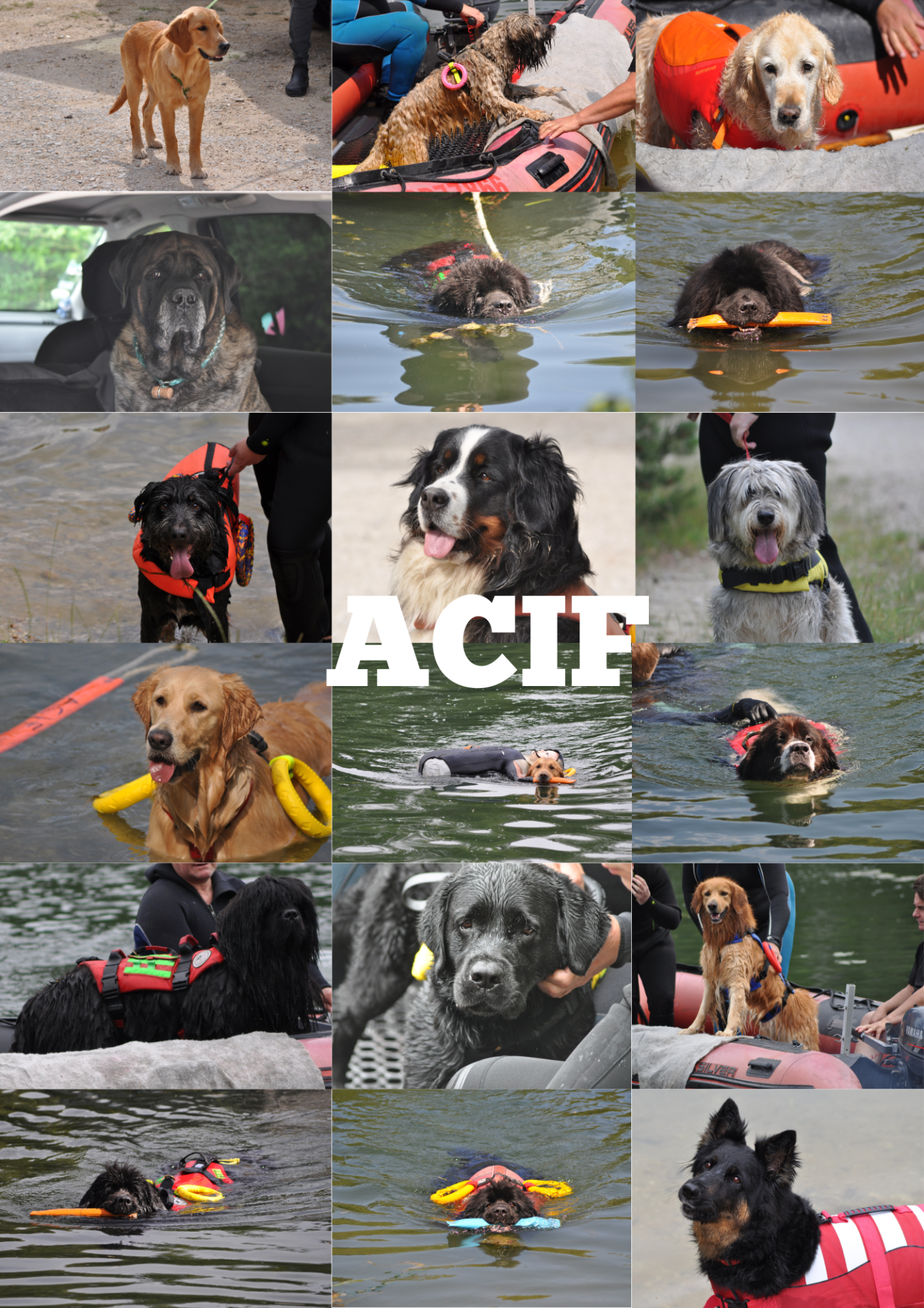 Acif