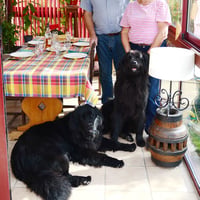 Patrick et Arlette GARDIN